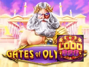 LOBO888 APP mobile iOS Android - 187 mil downloads São Paulo Rio BH